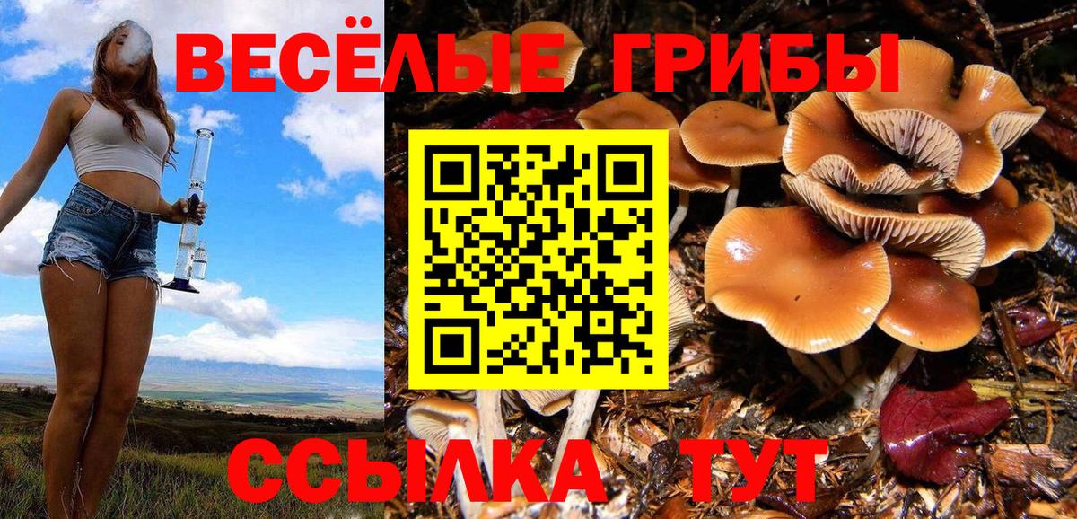 Галлюциногенные грибы Magic Shrooms  Вход с VPN  Нефтекумск 