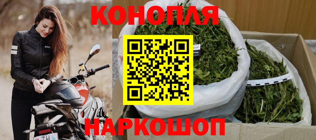 Марихуана конопля Нефтекумск